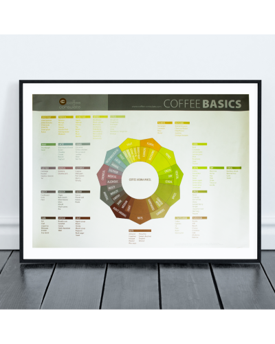 Coffee Basics Coffee Aromawheel- En cuadro