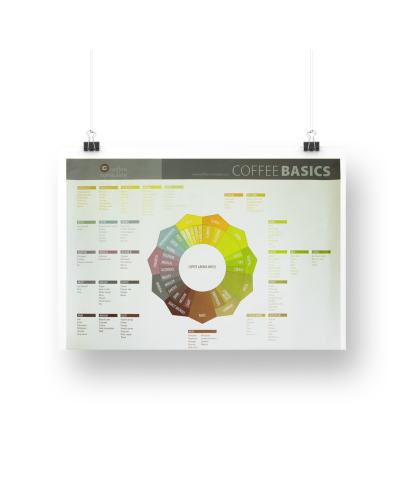 Coffee Basics Coffee Aromawheel Colgado