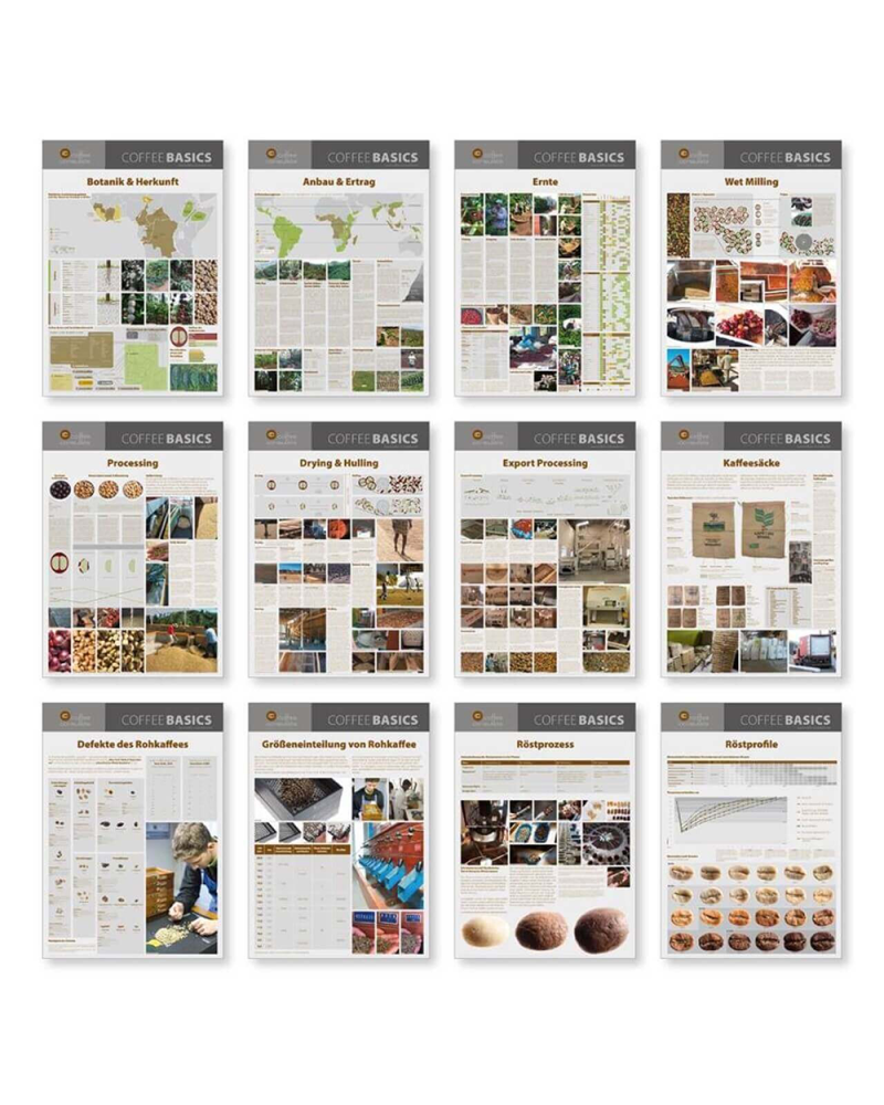 Coffee Consulate Coffee Basics Set 12 Carteles (Inglés)