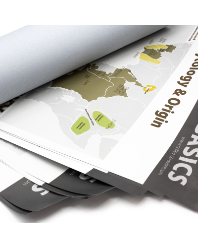 Coffee Basics Set 12 Carteles (Inglés)-de cerca