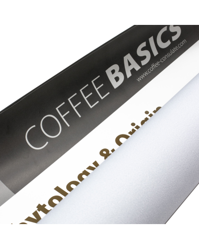 Coffee Basics Set 12 Carteles (Inglés)-2
