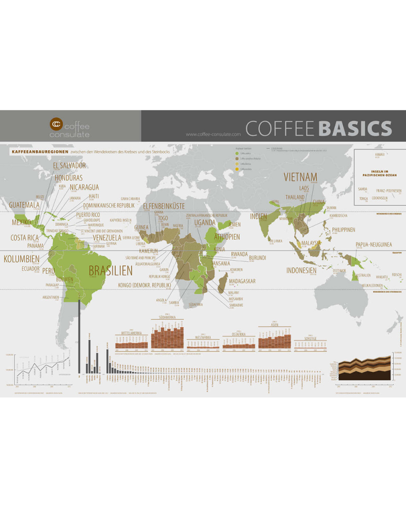 Coffee Basics Mapa Del Mundo