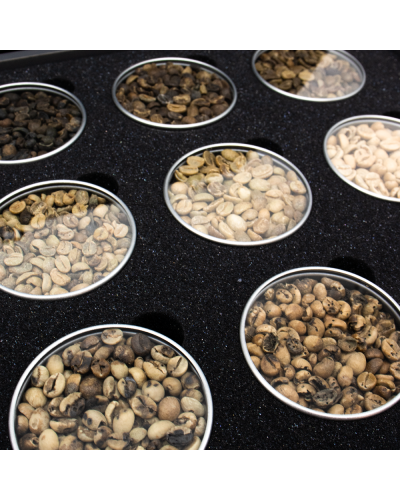 Coffee Consulate Green Coffee Sample Set-close up