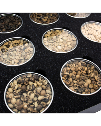 Coffee Defect Sample Set