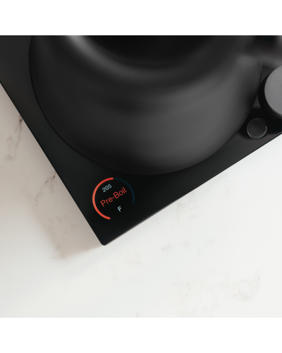 Fellow Hervidor Stagg EKG PRO 0.9L Negro Mate Dial tempertaura