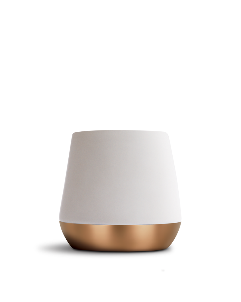 Fellow Taza Big Joey 12oz Blanco Mate