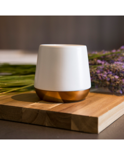 Fellow Big Joey Mug 12oz Matte White table with flowers