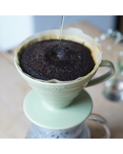 Hario V60 Dripper Cerámica 02- Verde Pastel con jarra