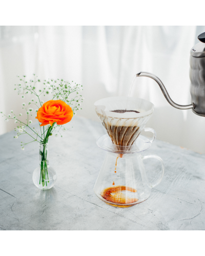 Hario Kit Simply V60 Dripper Cristal 02 pour over con hervidor buono