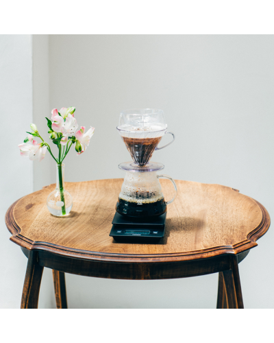 Hario V60 Drip Assist 02 on table