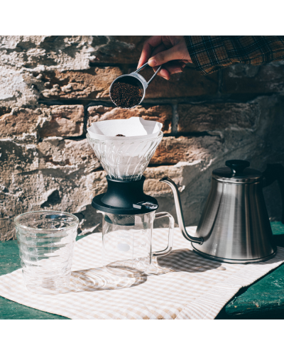Hario Immersion Dripper Switch Server Set with kettle