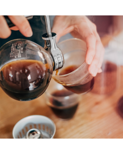 Hario Coffee Syphon Technica 2 serving