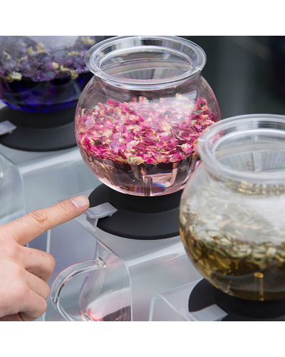 Hario Tea Dripper Largo Head with tea