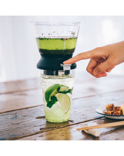 Hario Tea Dripper Largo 350ml Head cold tea