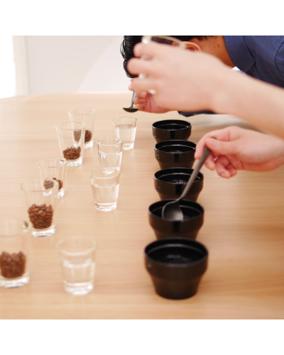 Hario Cupping Bowl- Kasuya using it