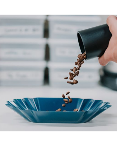 Rhinowares Bandeja Granos de Café (12 pcs) lifestyle