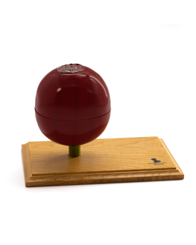 Complementos Del Cafe Maqueta 3D Grano de Café cerrado