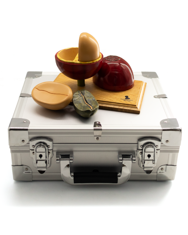 Complementos Del Cafe 3D Coffee Bean Model Set