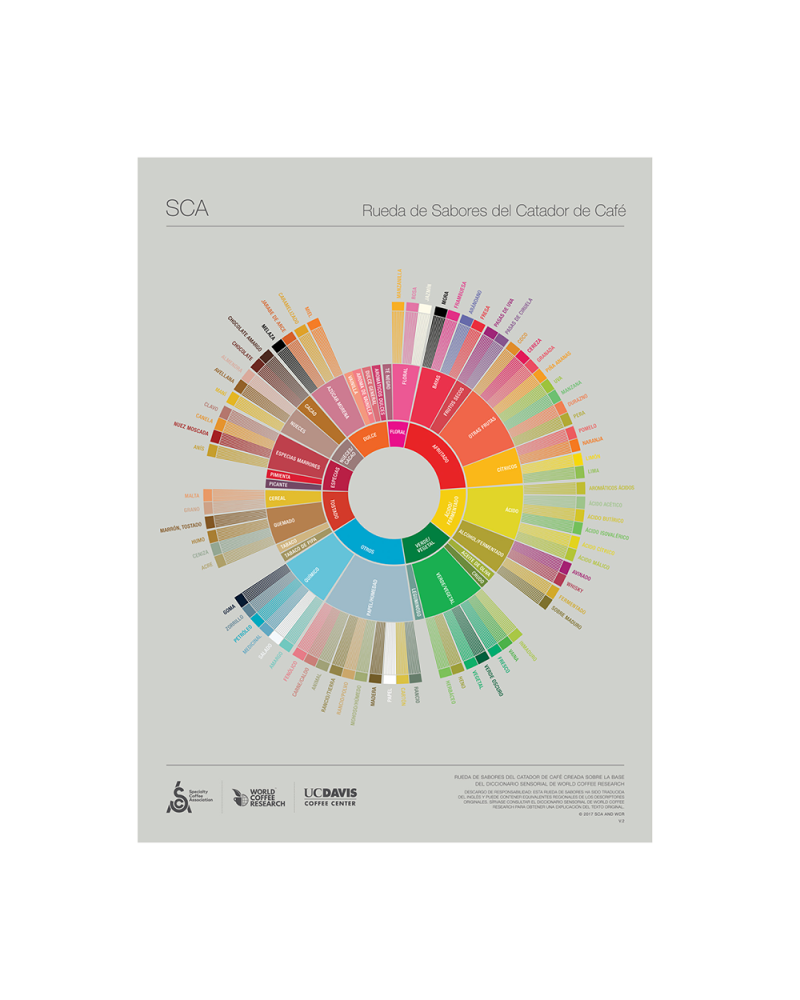 SCA The Coffee Taster'S Flavor Wheel Poster Spanish