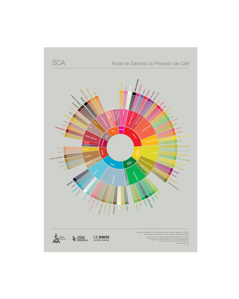 SCA The Coffee Taster'S Flavor Wheel Poster Portuguese