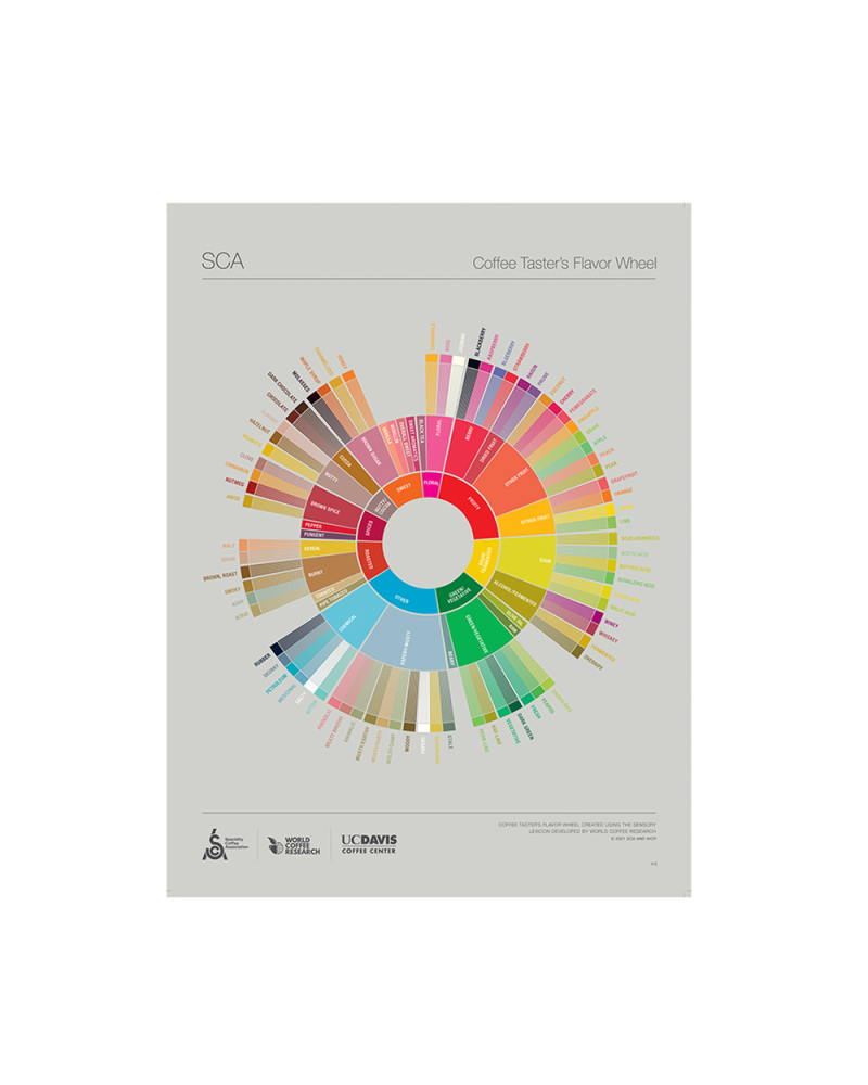 SCA The Coffee Taster'S Flavor Wheel Poster English