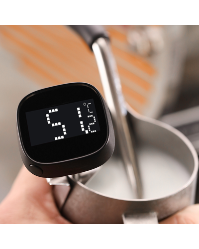 MHW3Bomber Portable LCD Digital Thermometer screen