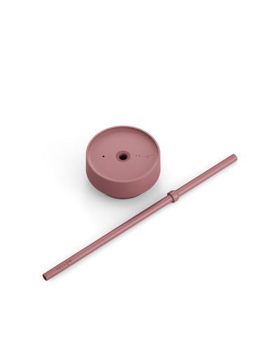 Tapa y pajita Fellow Carter Cold Tumbler 16 Oz Desert Rose