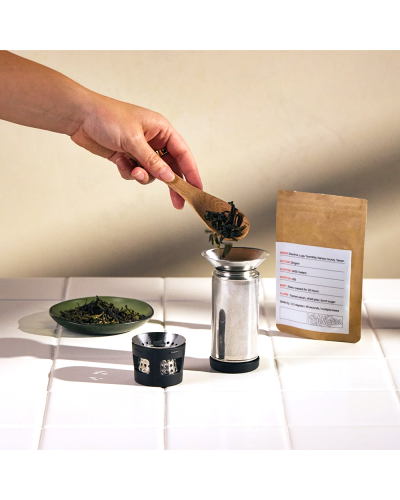 Fellow Carter Infuser